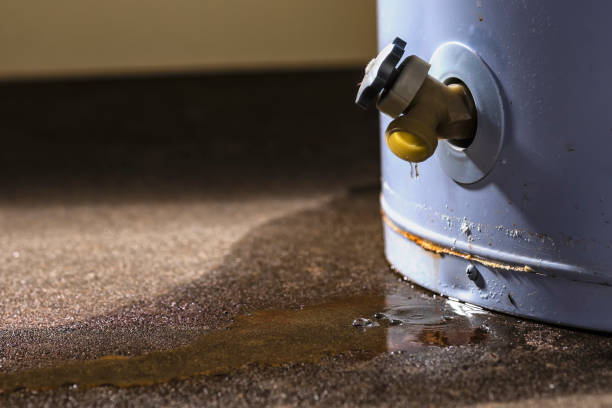 Best Flooded house restoration  in Volo, IL
