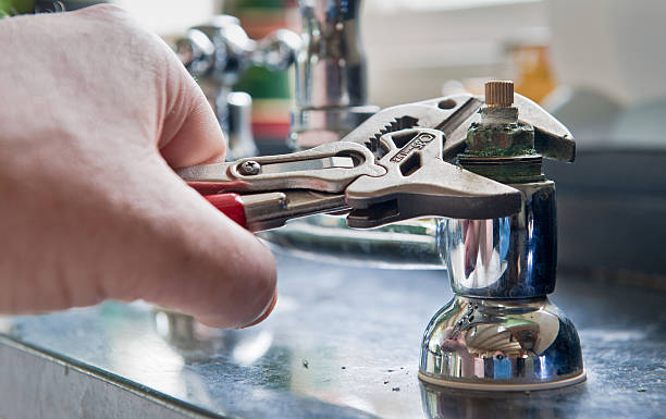 Best Water damage restoration near me  in Volo, IL