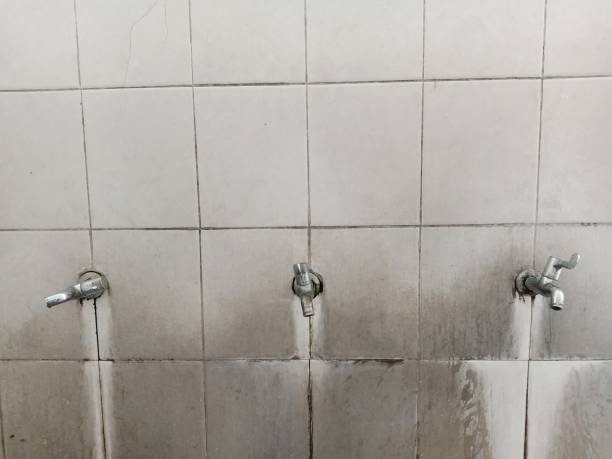 Best Commercial water damage restoration  in Volo, IL