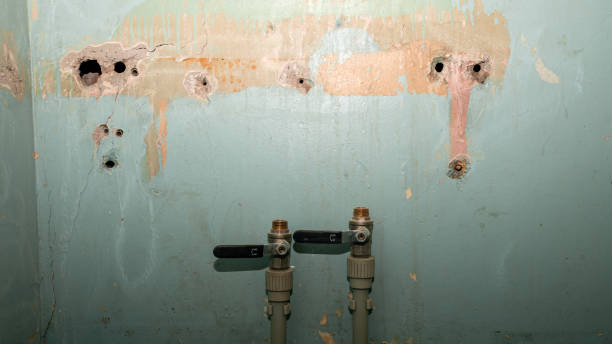 Best Sewage cleanup and water damage restoration  in Volo, IL