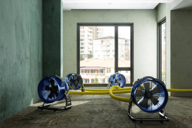 Best Water damage restoration near me  in Volo, IL